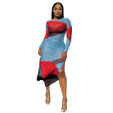 Women's Clothing Sexy Printed Mesh Slit Dress For Women