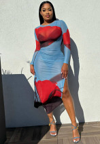 Women's Clothing Sexy Printed Mesh Slit Dress For Women Women's Clothing Sexy Printed Mesh Slit Dress For Women