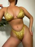 Sexy Shiny Two Piece Bikini Swimsuit