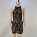 Women's Spring Summer Solid Color Lace See-Through Halter Neck Low Back Bodycon Dress Sexy Clothes