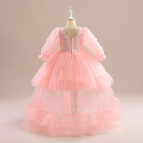 Girls Dress Princess Dress Tutu Wedding Flower Girl Child Performance Dress Birthday Dress
