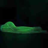 Women Clothing Hollow Fishnet Pantyhose Fishnet Stockings Sexy Lingerie