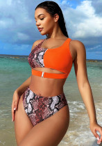 Print Sexy Triangle Bikini Women Two Pieces Swimsuit Print Sexy Triangle Bikini Women Two Pieces Swimsuit