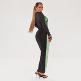 Women's Spring And Summer Fashion Round Neck Printed Long Sleeve Slim Waist Bodycon Dress