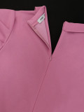 Chic Style Turndown Collar Career Pleated Dress