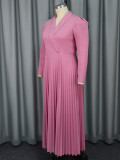 Chic Style Turndown Collar Career Pleated Dress