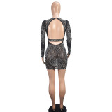 Fashion Sexy See-Through Mesh Beaded Dress