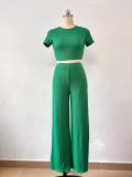Short-Sleeved Fashionable and Sexy Crop T-Shirt Summer Trousers Two-Piece Set