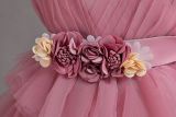 girl fluffy cake princess dress
