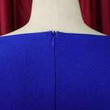 Women's Solid Color Professional Fashion Chic Plus Size Elegant African Dress