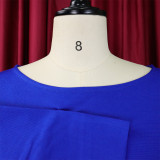 Women's Solid Color Professional Fashion Chic Plus Size Elegant African Dress