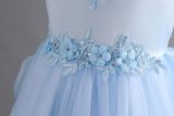 Girls wedding dress princess dress with tail