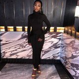 Women's Solid Color Round Neck Long-Sleeved Streamer Tie Chic Long Dress