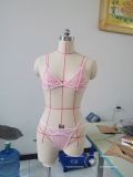 Women mesh transparent Lace-Up bra and sexy lingerie two-piece set