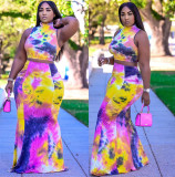 Plus Size Women's Summer Casual Contrast Color Vest Top Skirt Two-Piece Set