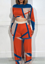 Women Printed Color Block Crop Top and Wide Leg Pants Two Piece Set