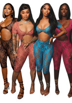 Women's Sexy See Through Lace U Neck Short Sleeve Jumpsuit Women's Sexy See Through Lace U Neck Short Sleeve Jumpsuit
