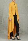 Spring Long-Sleeved High-Neck Slim Zipper Irregular Long Dress