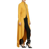Spring Long-Sleeved High-Neck Slim Zipper Irregular Long Dress