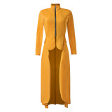Spring Long-Sleeved High-Neck Slim Zipper Irregular Long Dress