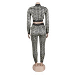 Women Sexy Printed Stretch Long Sleeve Top and Pant Two-piece Set