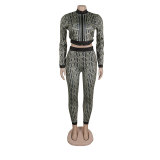 Women Sexy Printed Stretch Long Sleeve Top and Pant Two-piece Set