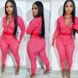 Women Sexy Printed Stretch Long Sleeve Top and Pant Two-piece Set