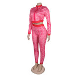 Women Sexy Printed Stretch Long Sleeve Top and Pant Two-piece Set
