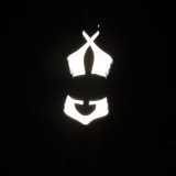 Sexy Hollow Reflective Bikini Two Pieces Halter Neck Swimsuit