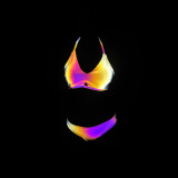Sexy Reflective Two Pieces Bikini Beach Holidays Low Back Swimsuit