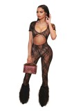 Women Sexy Lace Sleeve Crop Jumpsuit