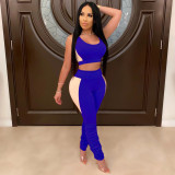 Women Sexy Solid Patchwork Gathered Sports Top and Pant Two-piece Set