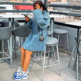 Spring Summer Women's Fashion Turndown Collar Loose Fashion Denim Dress