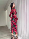 Spring Floral Print Long Sleeve Midi Dress