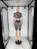 Women's See-Through Print Mesh Lace-Up Short-Sleeved Top Shorts Two-Piece Set