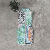Women Casual Sleeveless Pleated Printed Dress