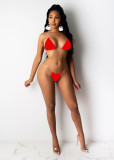 Women Sexy Bikini Beach Mesh Pleated Skirt Set