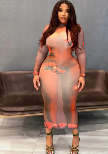 Women Round Neck Long Sleeve Printed Dress