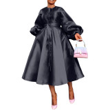 Women Solid Loose Buttoned Balloon Sleeve Dress