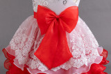 Girls Princess Dress Flower Girl Wedding Dress Evening Dress Puff Dress
