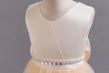 Girls Sleeveless Bow Holiday Party Princess Dress