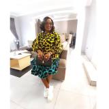 Women Printed Lace-Up Balloon Sleeves Loose Large Hem Round Neck Dress