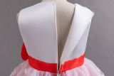 Girls Princess Dress Flower Girl Wedding Dress Evening Dress Puff Dress