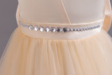 Girls Sleeveless Bow Holiday Party Princess Dress