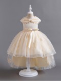 Girls' Puffy Princess Dress With Tail