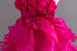 Elegant Children Trailing Princess Dress