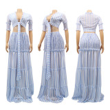 Women striped chiffon print Top and Skirt two-piece set