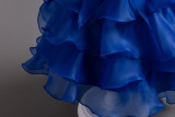 Elegant Children Trailing Princess Dress