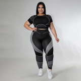 Plus Size Women's Sports Tight Fitting Yoga Two Piece Pants Set