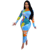 Long Sleeve High Neck Long Sleeve Fashionable Printed Long Dress